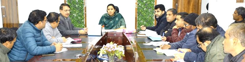 DC reviews implementation of self employment schemes in Udhampur