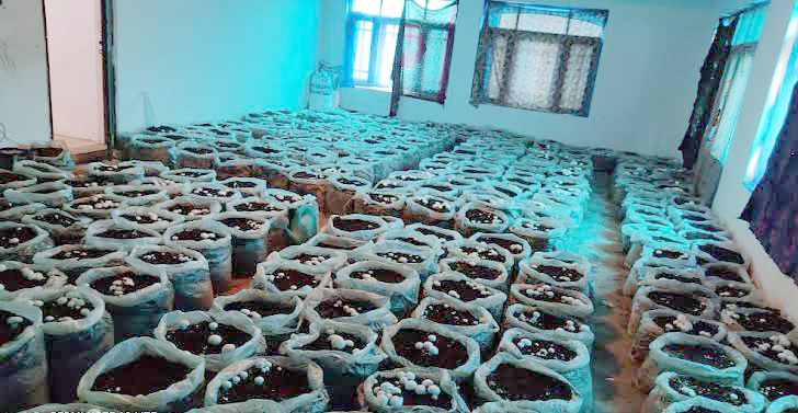 Govt. employing latest technological interventions to diversify agriculture sector across J&K