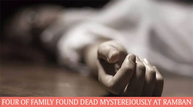 Younger brother kills elder brother over land dispute in Doda