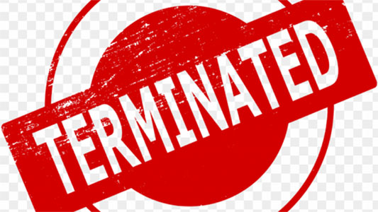 Teacher who managed entry in education department on fake documents 13 years ago terminated