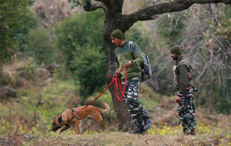 Rajouri Attack: Over 50 people detained for questioning so far