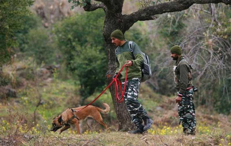 Rajouri Attack: Over 50 people detained for questioning so far