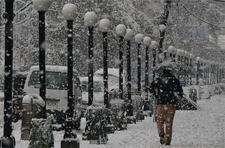 Fresh snowfall disrupts air, surface traffic in Kashmir, train service also suspended Srinagar