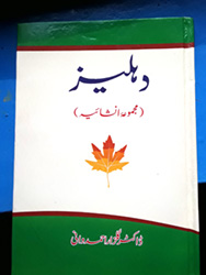 Book Review of “Dehleez” By Dr Gulzar Ahmad Wani