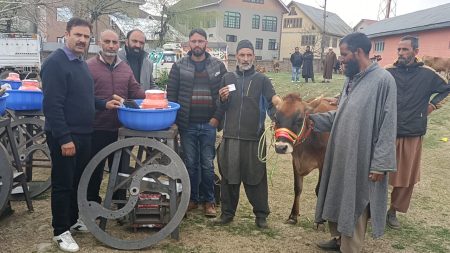 AHD Pulwama distributes 30 crossbreed dairy cows to ST beneficiaries