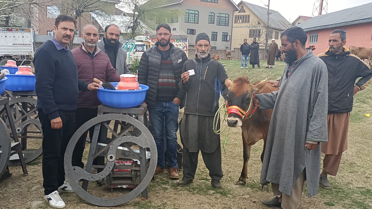 AHD Pulwama distributes 30 crossbreed dairy cows to ST beneficiaries