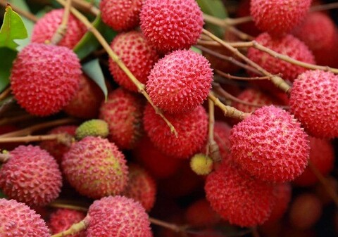 Health benefits of Lychee