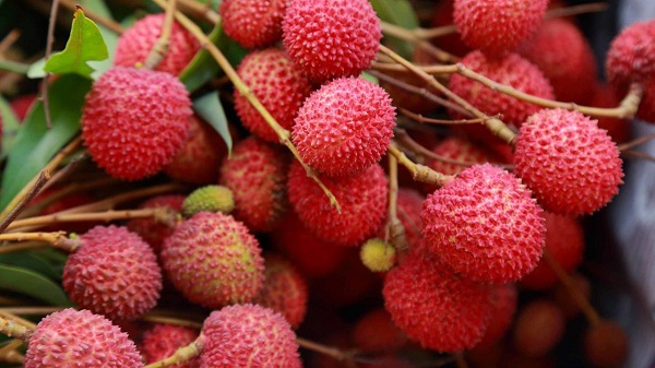 Health benefits of Lychee