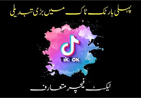 TikTok launches text-only posts to rival Musk’s Twitter