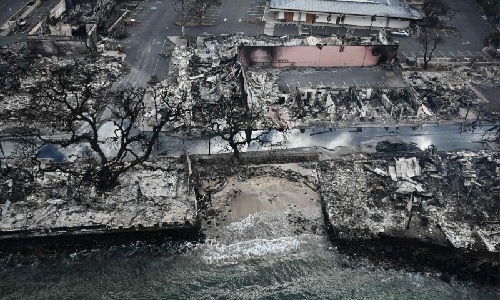 Hawaii fire death toll hits 53, expected to rise