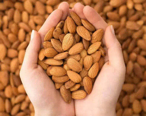 The Health Secrets of Almond Nutritional Powerhouse