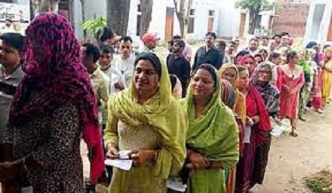 At 1 pm Udhampur Lok Sabha seat registers 43.11 % voter turnout