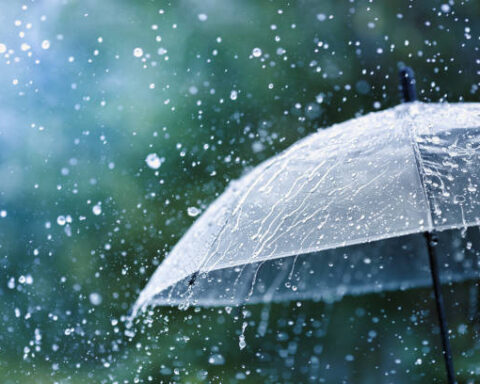 Early Morning Rain and storm Wreak Havoc in Srinagar