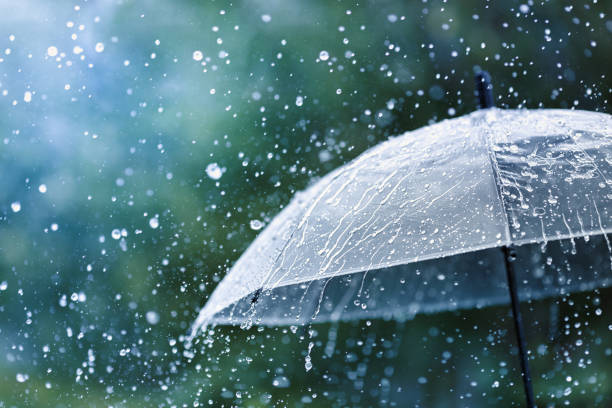 Early Morning Rain and storm Wreak Havoc in Srinagar