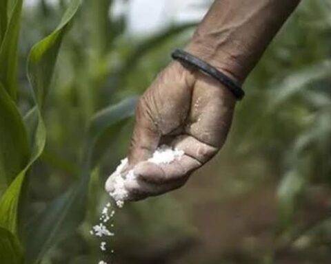 Agriculture Department Kashmir strongly refutes news report over spurious fertilizers, pesticides.
