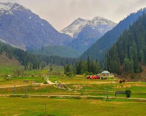 Gvn....After reopening of parks, tourist rush returns to Pahalgam