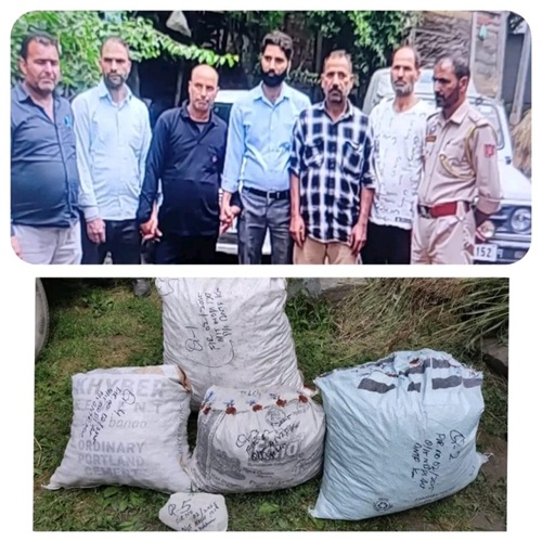 ANTF Kashmir Seizes Large Quantity of Poppy Straw in Beerwah, Budgam
