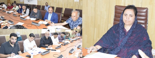 Sakeena Itoo reviews healthcare scenario in Pampore Assembly Constituency